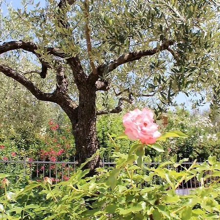 Le Rose Apartment Toscolano-Maderno
